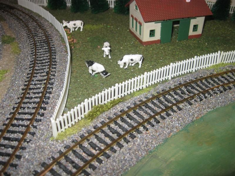 les vaches regardent passer les trains..........